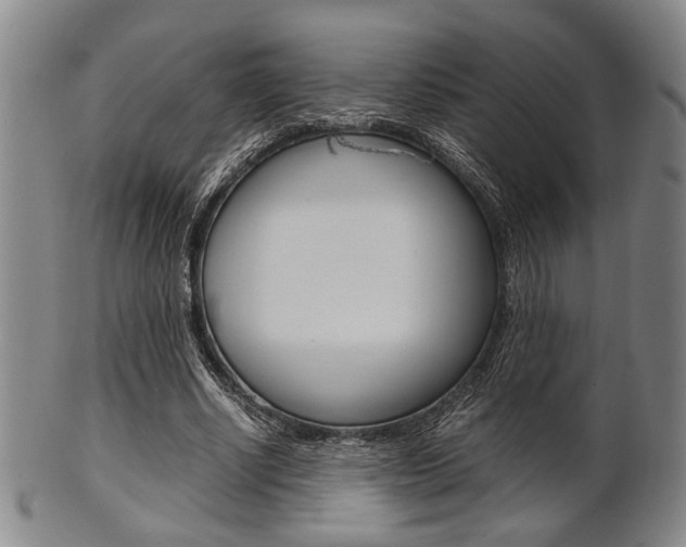X0000101660634200807101026