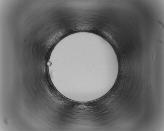 X0000101660635200807101026