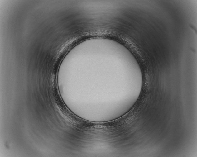 X0000101660636200807101026