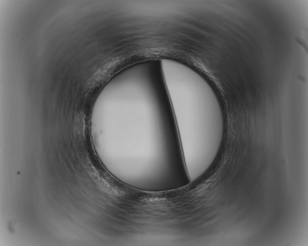 X0000101660637200807101026
