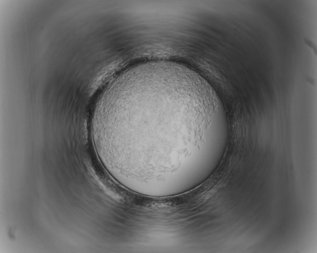 X0000101660638200807101026