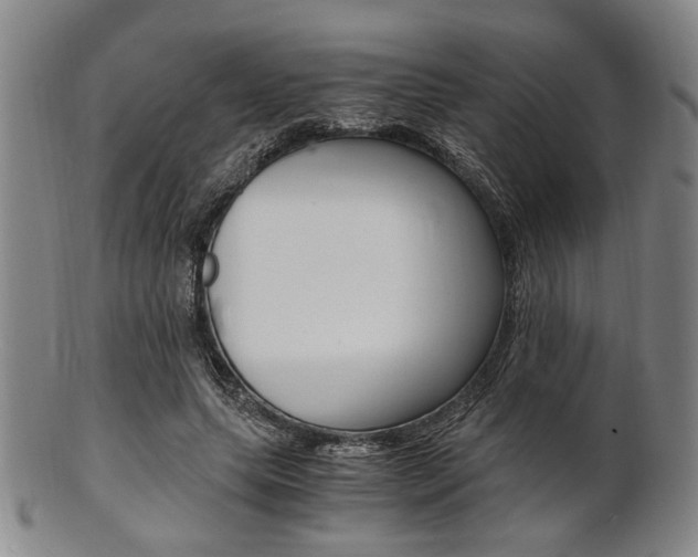 X0000101660639200807101026