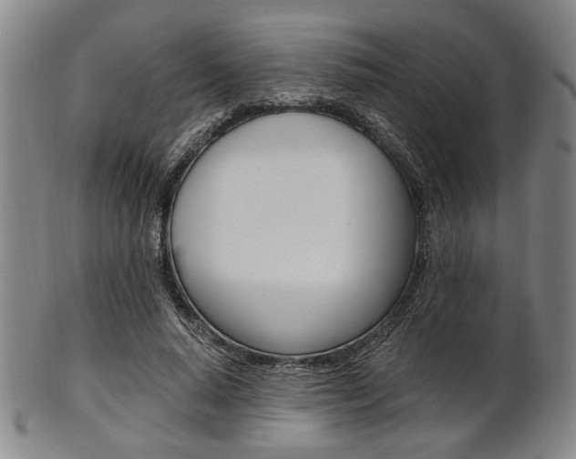 X0000101660640200807101026