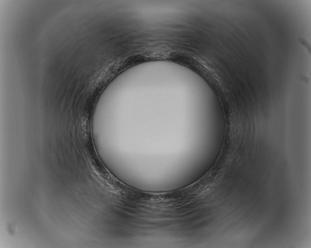 X0000101660641200807101026