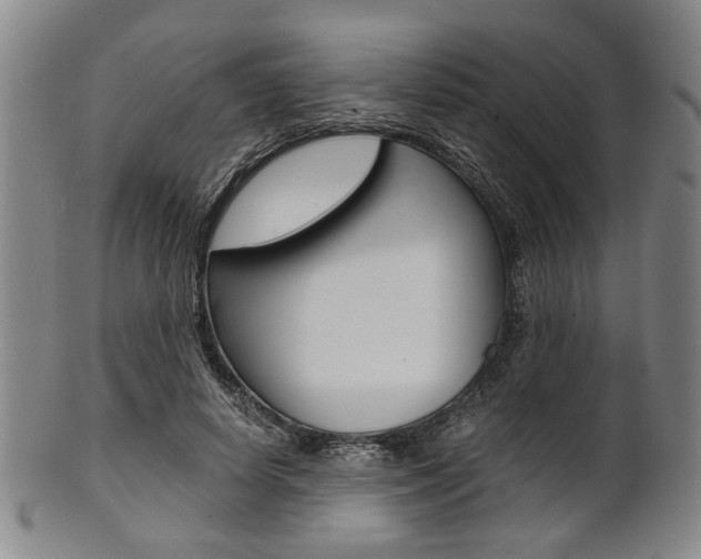 X0000101660642200807101026