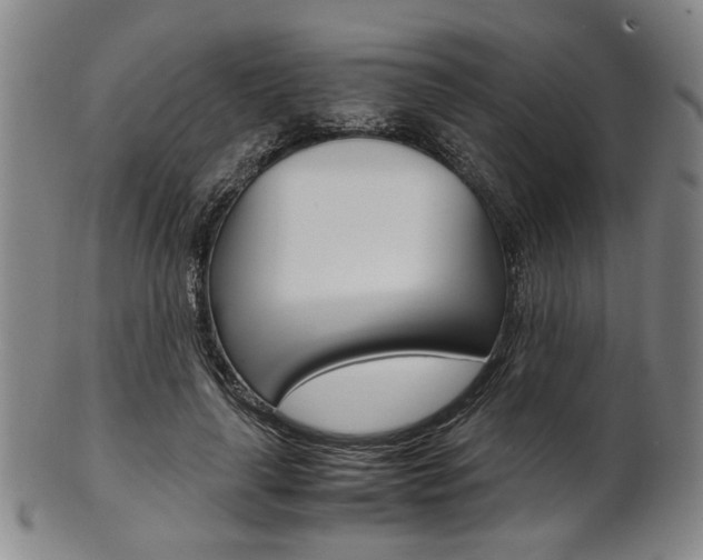 X0000101660643200807101026