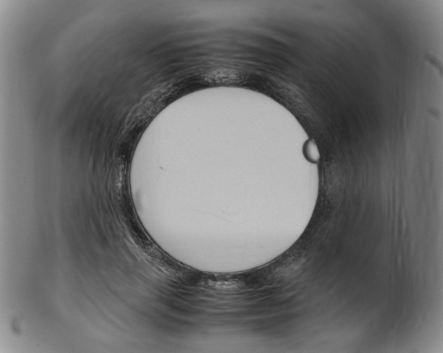 X0000101660645200807101026