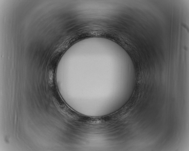 X0000101660646200807101026