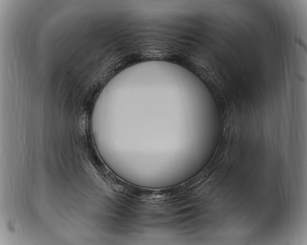 X0000101660647200807101026