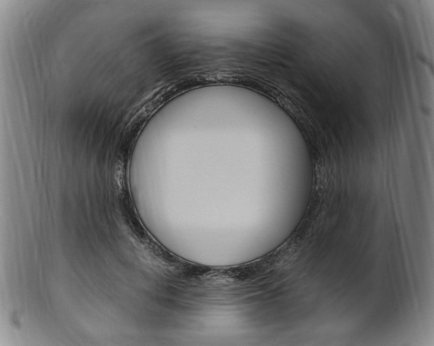 X0000101660648200807101026