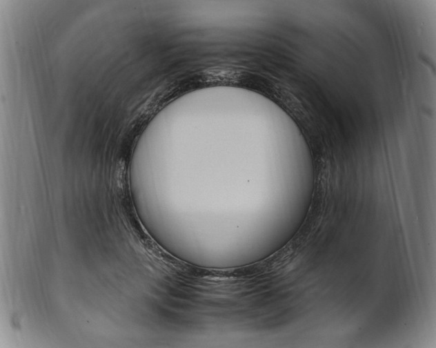 X0000101660649200807101026