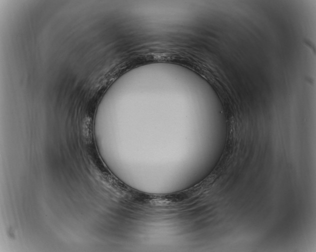 X0000101660650200807101026