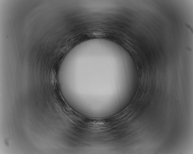 X0000101660651200807101026