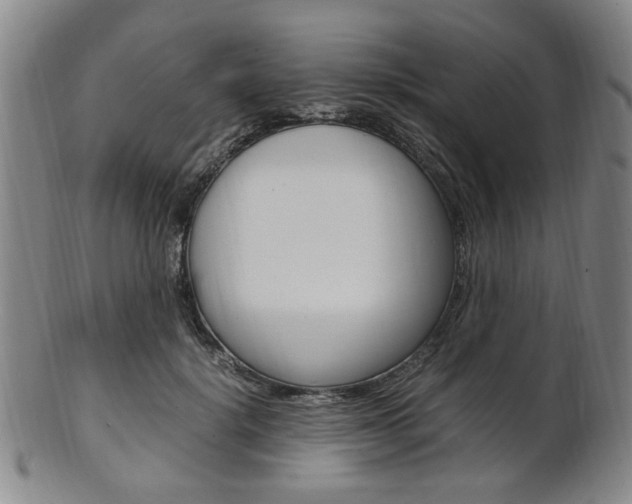 X0000101660652200807101026