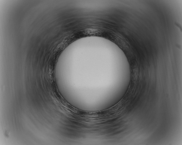 X0000101660653200807101026