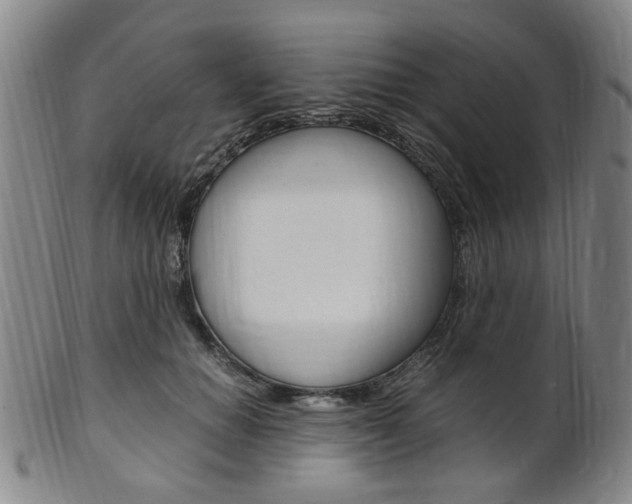 X0000101660654200807101026