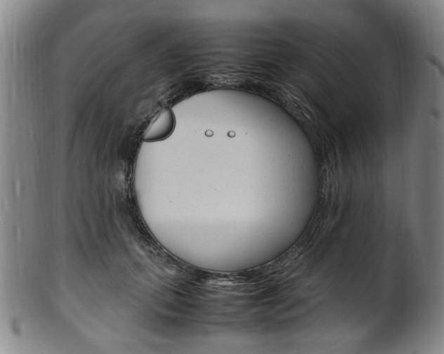X0000101660655200807101026