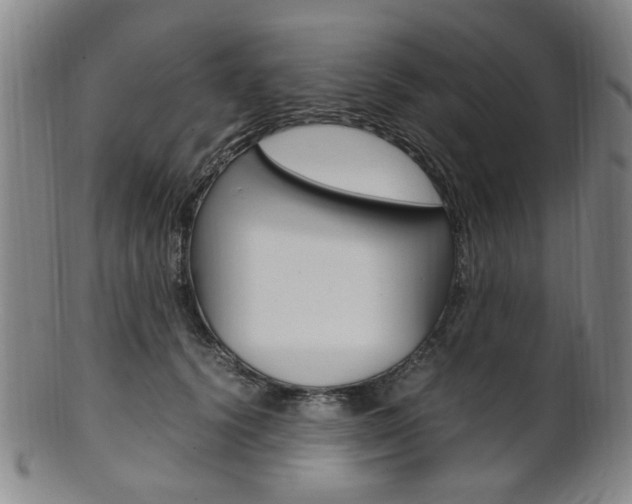 X0000101660656200807101026