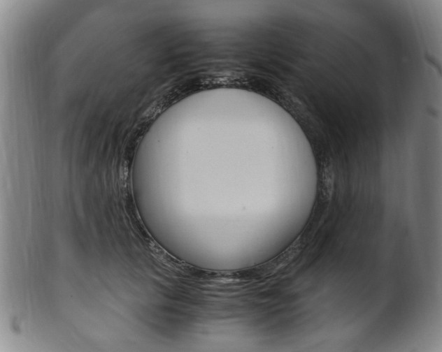 X0000101660657200807101026