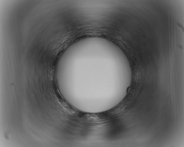 X0000101660658200807101026