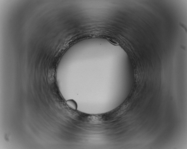 X0000101660660200807101026