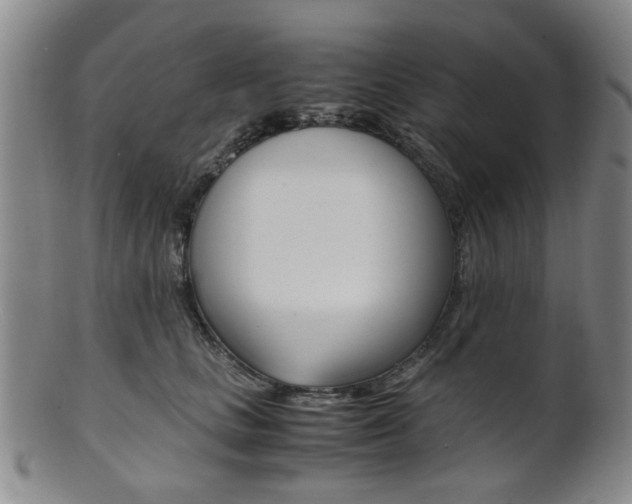 X0000101660661200807101026