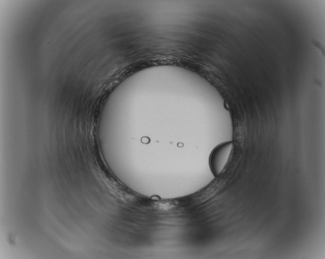 X0000101660662200807101026