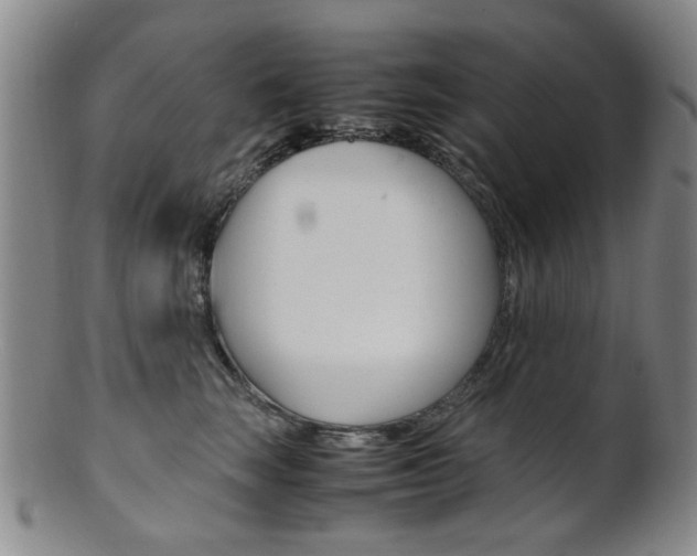 X0000101660663200807101026