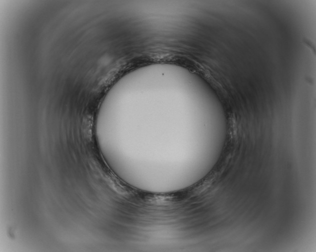 X0000101660664200807101026