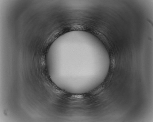 X0000101660665200807101026