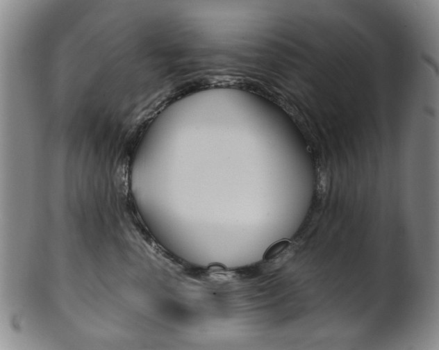 X0000101660666200807101026