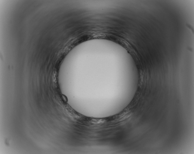 X0000101660667200807101026