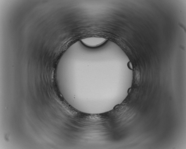 X0000101660668200807101026