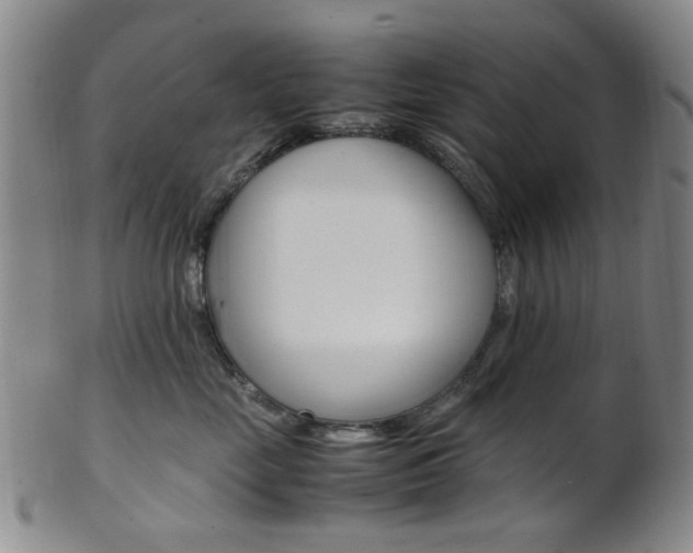 X0000101660669200807101026