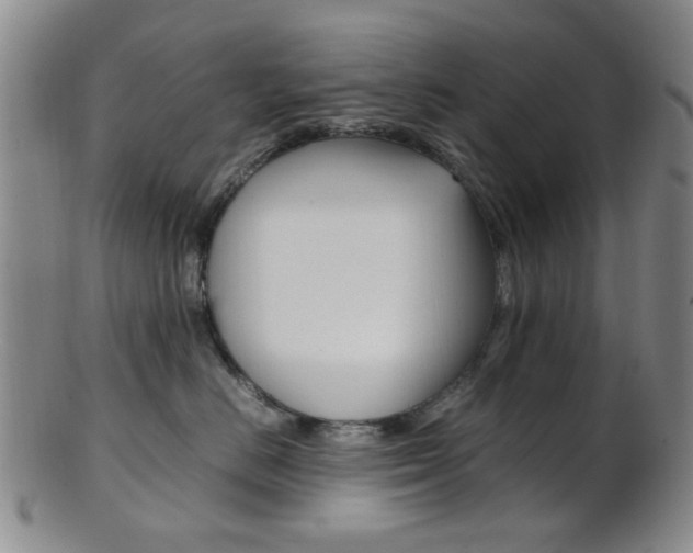 X0000101660670200807101026