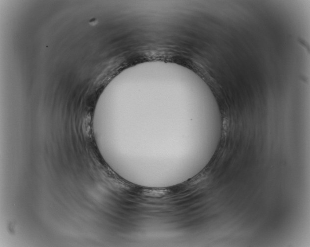 X0000101660671200807101026