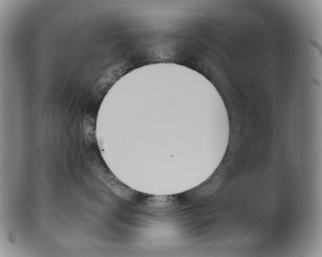 X0000101660672200807101026