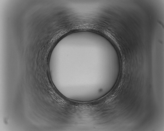 X0000101660673200807101025