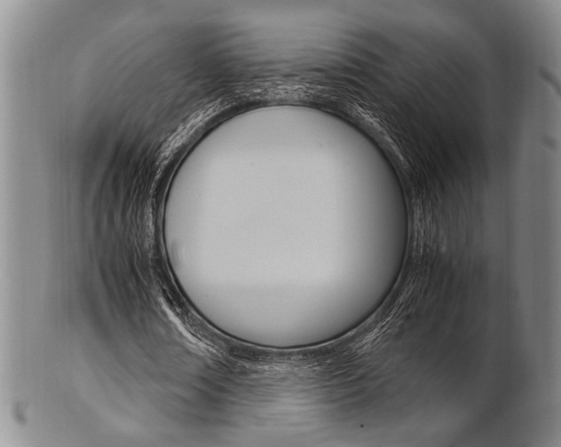 X0000101660674200807101025
