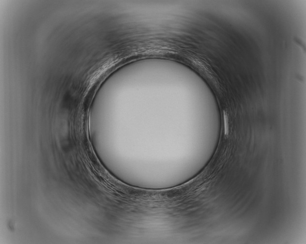 X0000101660675200807101025