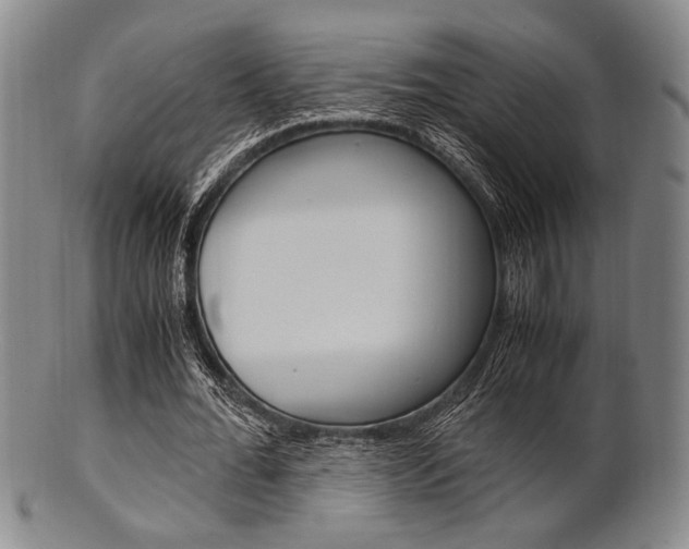 X0000101660676200807101025