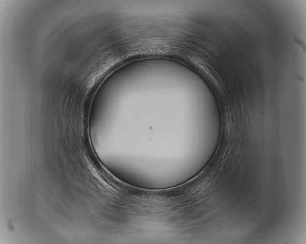 X0000101660677200807101025