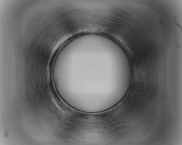 X0000101660678200807101025