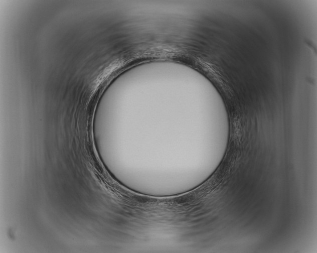 X0000101660679200807101025