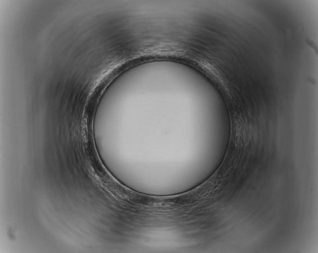X0000101660680200807101025