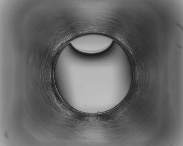 X0000101660681200807101025
