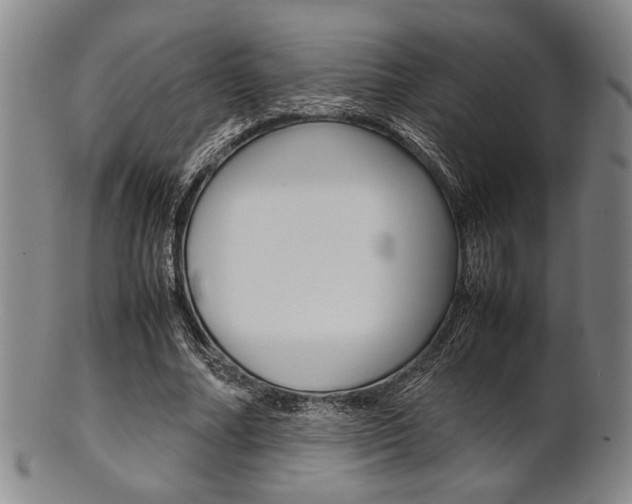 X0000101660682200807101025