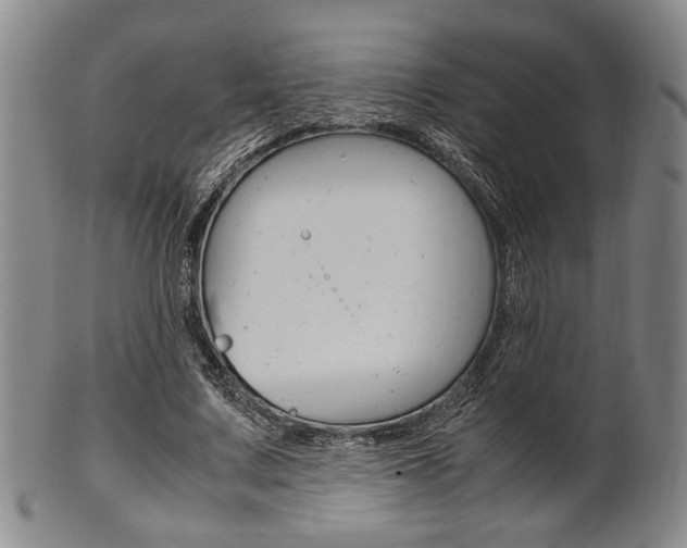 X0000101660683200807101025