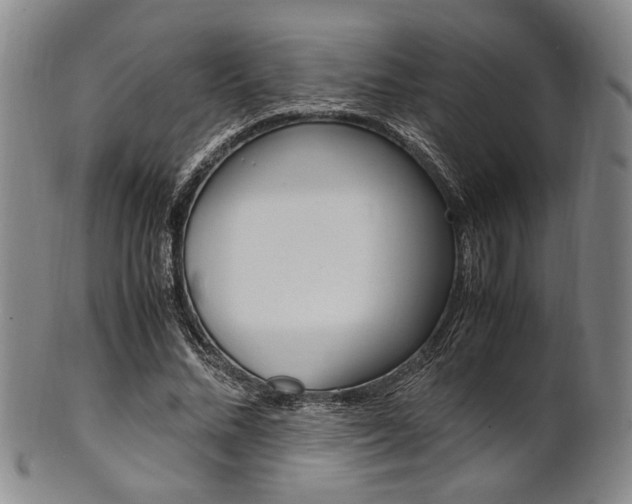 X0000101660684200807101025