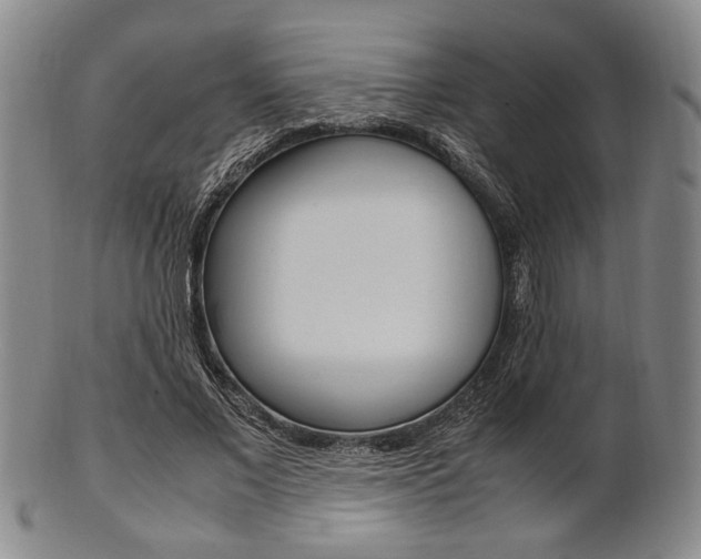 X0000101660685200807101025